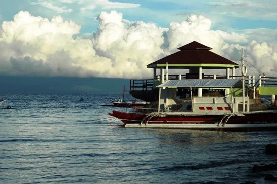 Island Life: Diving Cebu and Palawan